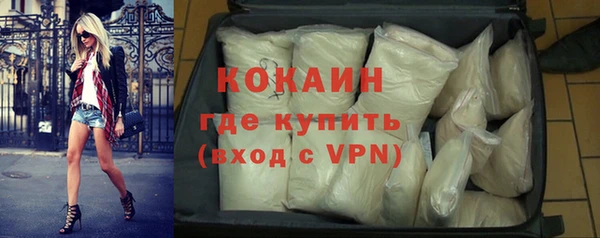 сатива Гусев