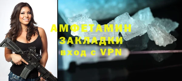 сатива Гусев