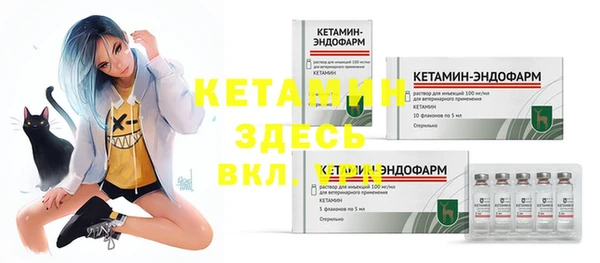 сатива Гусев