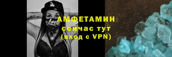 сатива Гусев