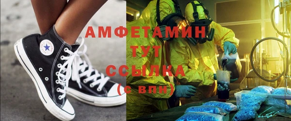 сатива Гусев