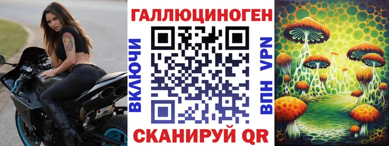 Псилоцибиновые грибы Psilocybine cubensis  Купить  Венёв 